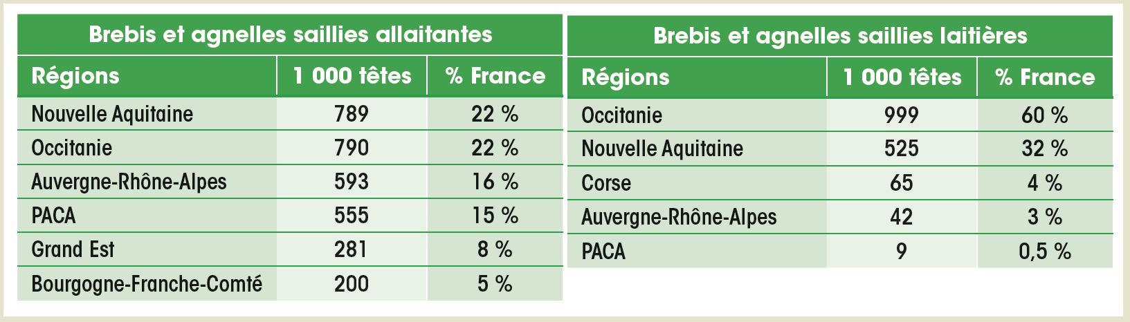 France : bilan abattages, production, consommation en 2019, ovins seuls