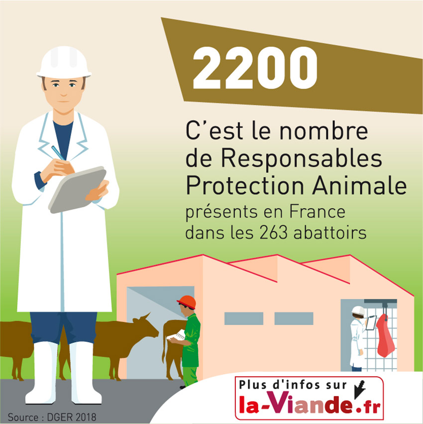 2200, c'est le nombre de responsables protection animale présents en France dans les 263 abattoirs