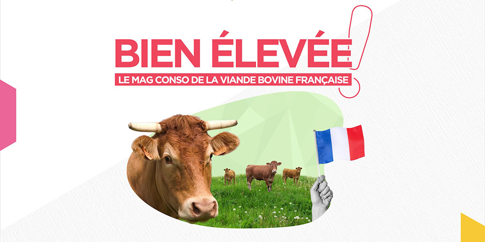 Bien élevée ! Le mag conso de la viande bovine française