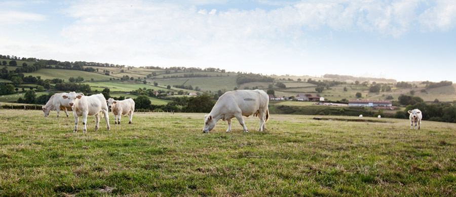 Développement durable des territoires