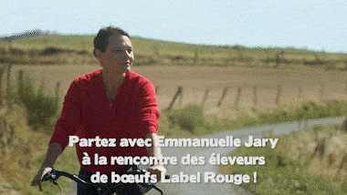 Partez avec Emmanuelle Jary à la rencontre des éleveurs de bœufs Label Rouge !