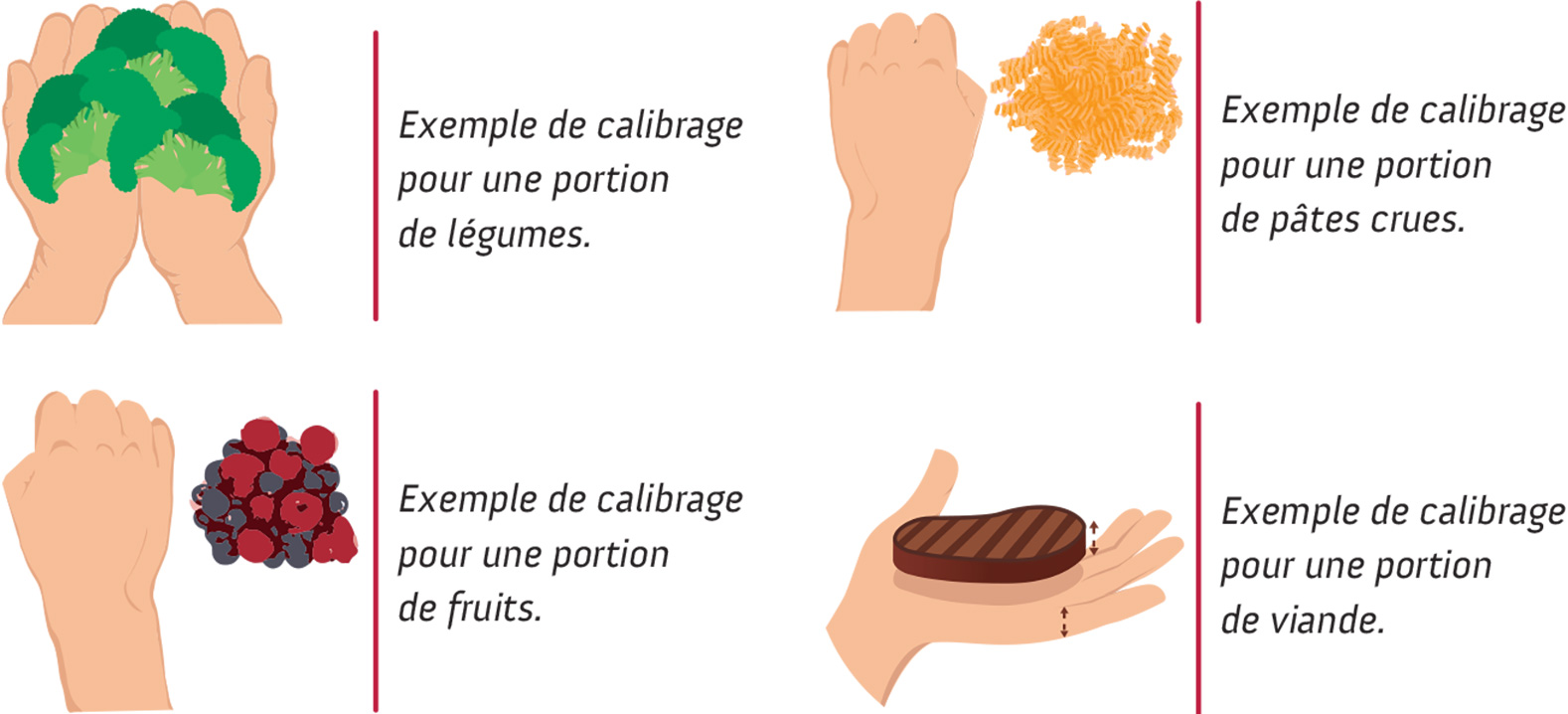 Votre alimentation est-elle équilibrée ?