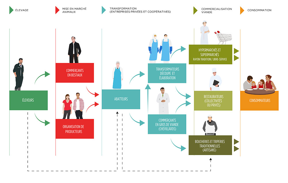 La filière française de l’élevage et des viandes