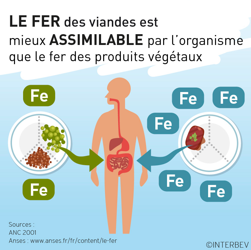 Le fer des viandes est mieux assimilable par l'organisme que le fer des produits végétaux