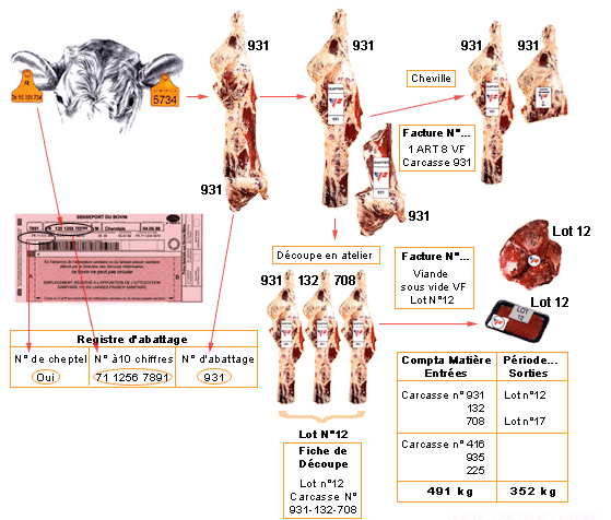 Traçabilité des bovins