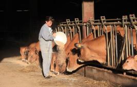 Chiffres clés de la viande bio