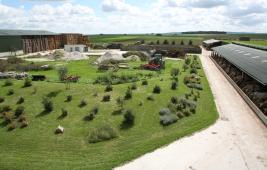 COP21 : L’élevage bovin et ovin au service de l’environnement