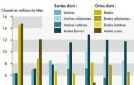 L’élevage herbivore en France : répartition et évolution