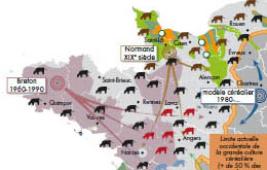 Le développement historique de différents modèles d’élevage 