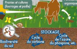 Diversité des cultures et place de l’herbe