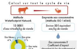 Qualité des eaux et élevage herbivore