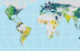 Des leviers de réduction des émissions, différents selon les pays
