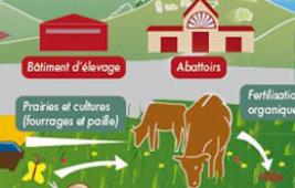 Des enjeux environnementaux au cœur des pratiques de filière