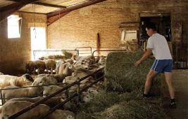 Atlas Champardennais