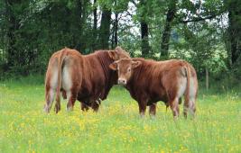 Atlas du Centre Val-de-Loire 