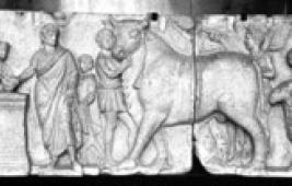 Les bovins : entre agriculture et pastoralisme