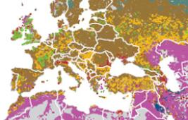 Des systèmes d’élevages mondiaux diversifiés 