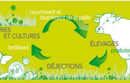 L'élevage et les gaz à effet de serre