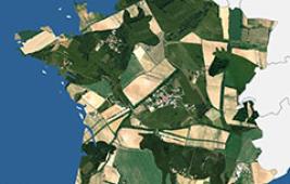 Atlas de l'élevage herbivore