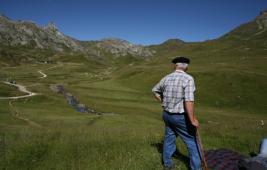 L'élevage et l'économie rurale