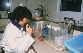 L’ESB en quelques mots