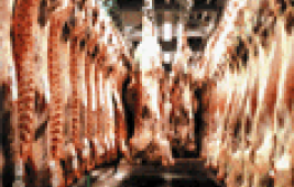 L'ESB: quels risques pour l’Homme ?