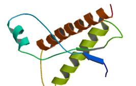 Qu’est-ce que l’ESB ?