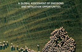 Nouveaux rapports de la FAO