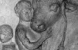 Taureaux sacrés et amours vaches