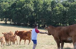 Atlas Picto-Charentais