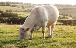 Atlas Bourgogne Franche-Comté
