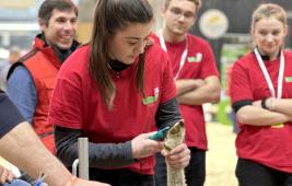 20e Ovinpiades des Jeunes Bergers