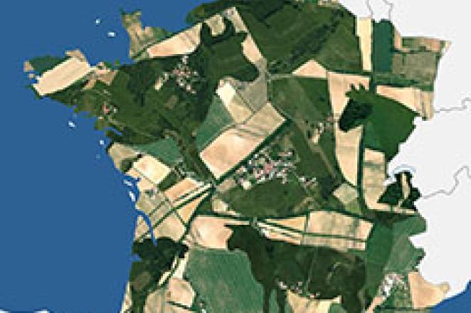 Atlas de l'élevage herbivore