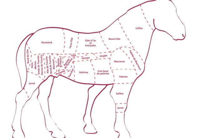 Les morceaux du cheval
