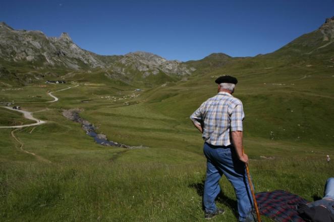 L'élevage et l'économie rurale