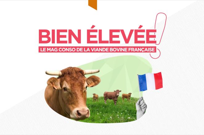 Bien élevée ! Le mag conso de la viande bovine française