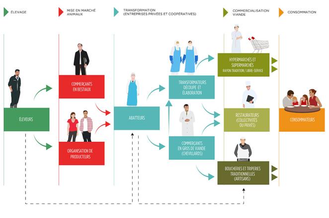 La filière française de l’élevage et des viandes