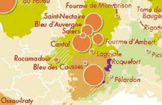 Territoire du veau d’Aveyron et du Segala et ses acteurs