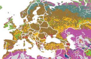 L’élevage dans le monde, défis et diversité