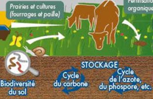 Diversité des cultures et place de l’herbe