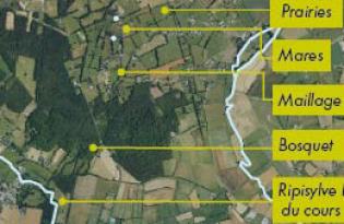 Lien entre biodiversité et élevage : zoom sur les infrastructures agroécologiques d’un territoire d’élevage