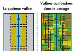 Entretien de zones humides clés pour l’environnement