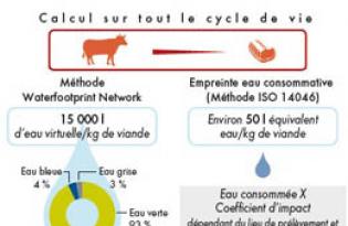 Viande et eau : quelle méthode et quelle quantité ?