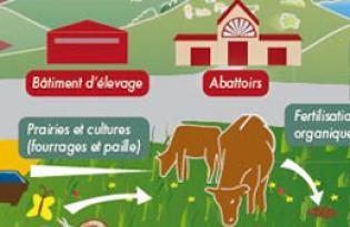 Des enjeux environnementaux au cœur des pratiques de filière