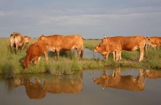 La préservation de la qualité de l'eau