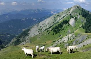 Atlas Provence-Alpes-Côte d'Azur