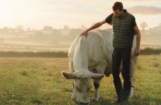 Les 6 garanties de la viande de bœuf Label Rouge