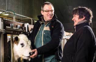 Mise en marché des animaux