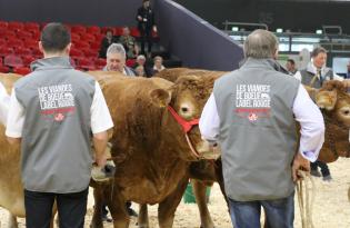 Les victoires des Viandes de Boeuf Label Rouge