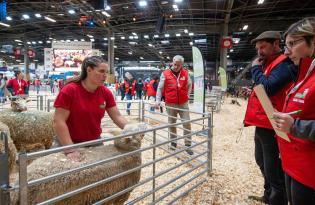 21e Ovinpiades des Jeunes Bergers